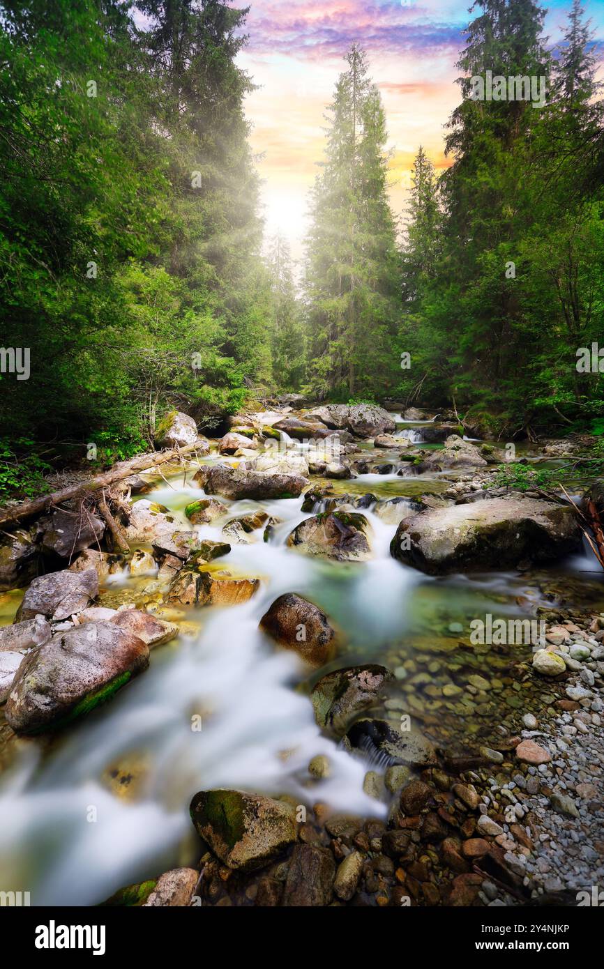 Valle di Koprovska al tramonto con fiume e alberi. Slovacchia, Tatra Foto Stock