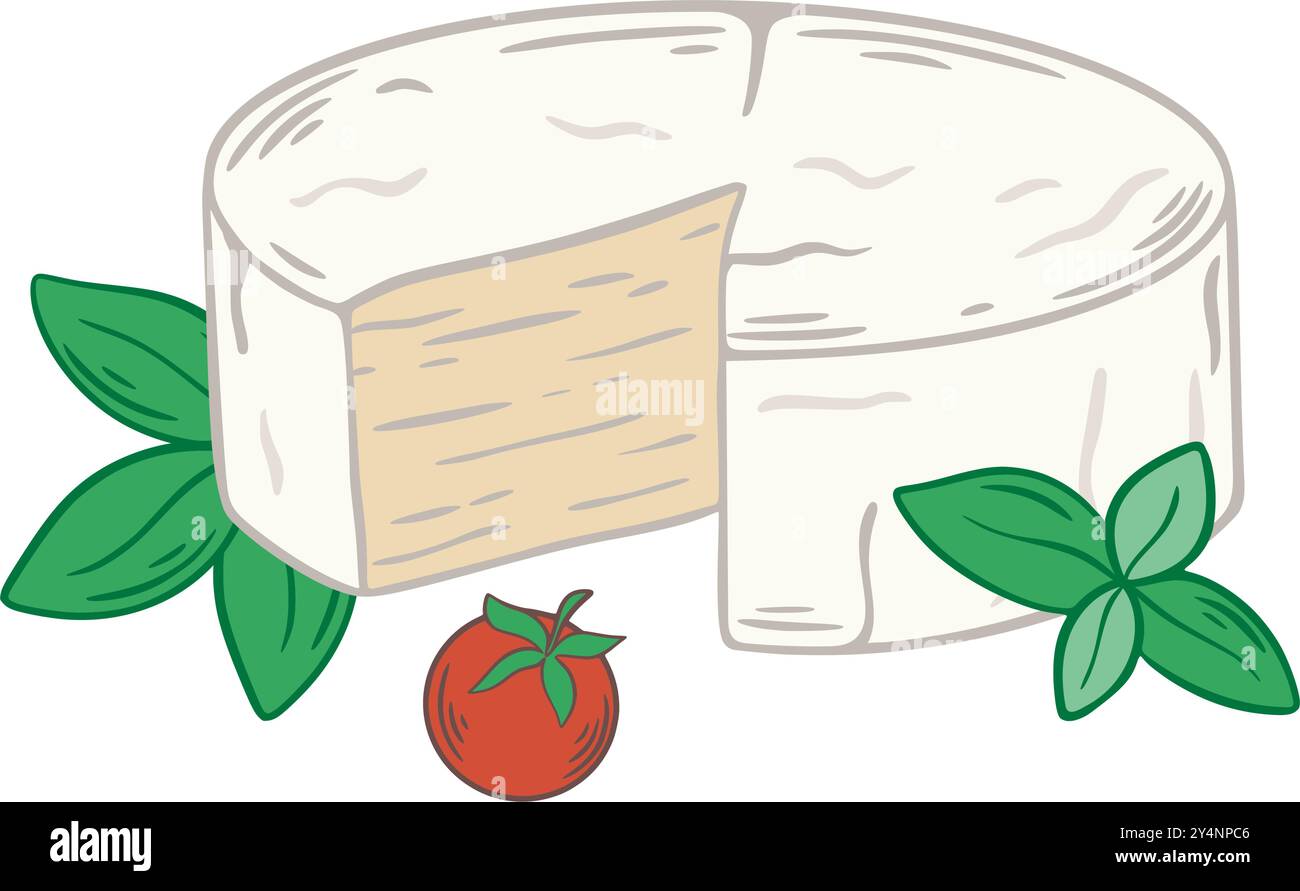 Formaggio Camembert con rametto di basilico e pomodoro ciliegino Illustrazione Vettoriale