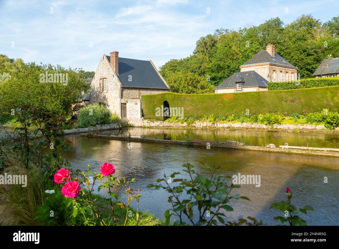I cressonnieres sono letti a cresta d'acqua che si pensa risalgano al XIV secolo, Veules-les-Roses, Normandia, Francia Foto Stock