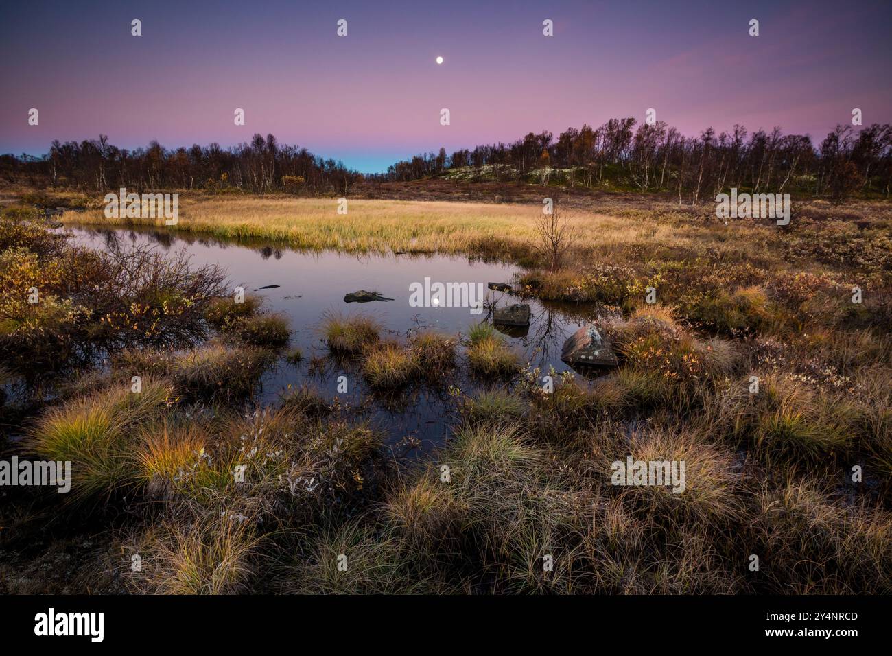 Paesaggio autunnale all'alba nella riserva naturale di Fokstumyra, Dovre, Innlandet Fylke, Norvegia, Scandinavia Foto Stock