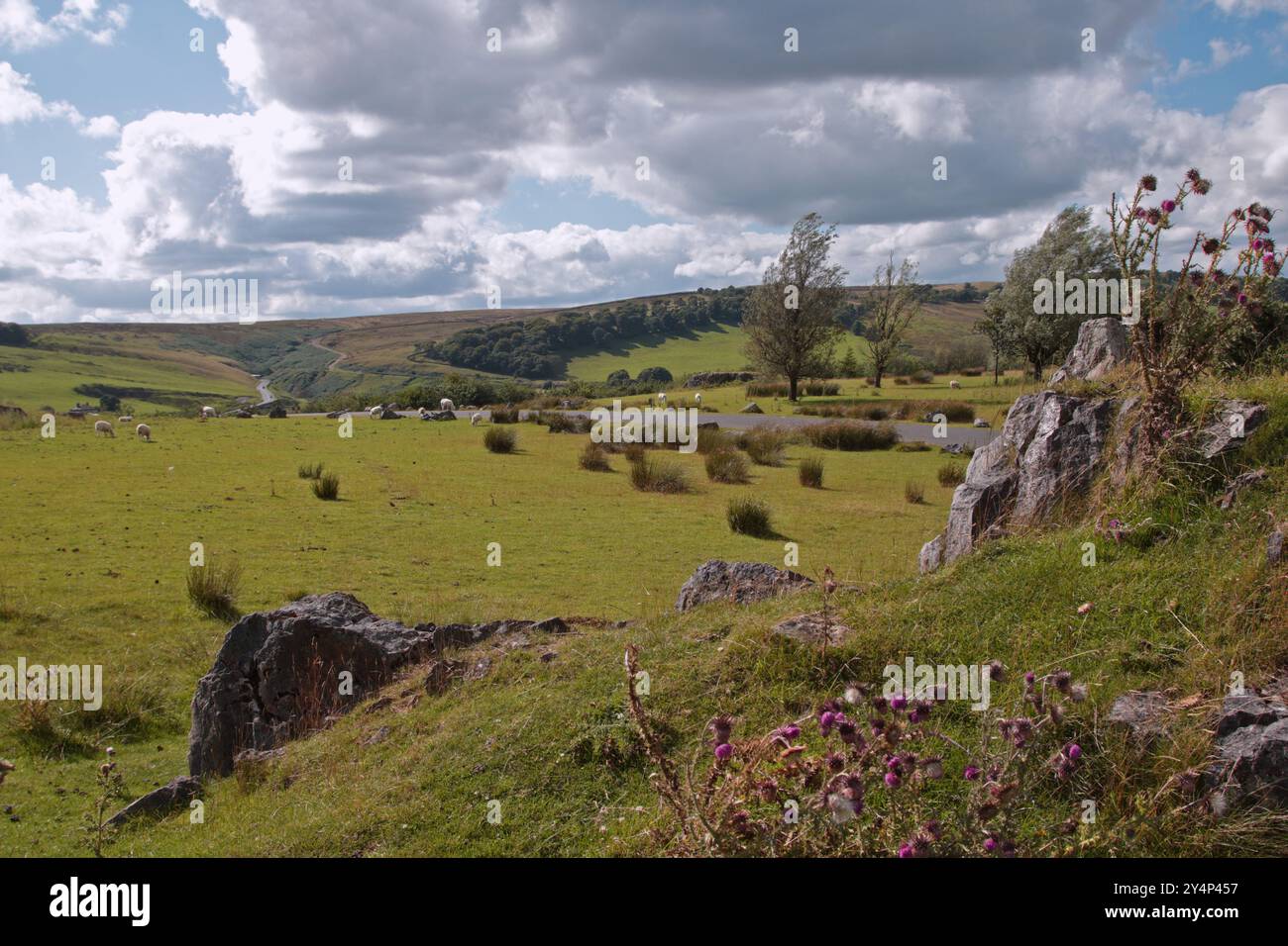 Paesaggio a sud di Buxton, Peak District, Derbyshire, Inghilterra Foto Stock
