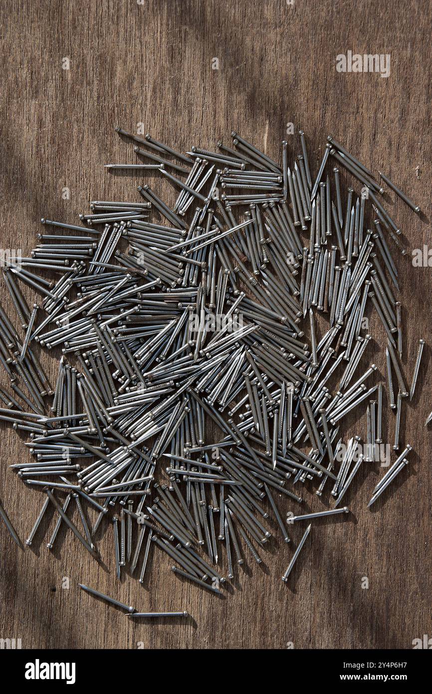 Vadodara, Gujarat / India - 3 maggio 2017 : Un mucchio di chiodi metallici su fondo marrone in legno. Foto Stock