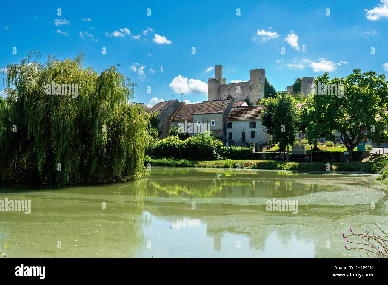 Il castello fortificato di Billy, risalente al XIII secolo, si affaccia su uno stagno, Allier, Auvergne-Rhone-Alpes, Francia Foto Stock