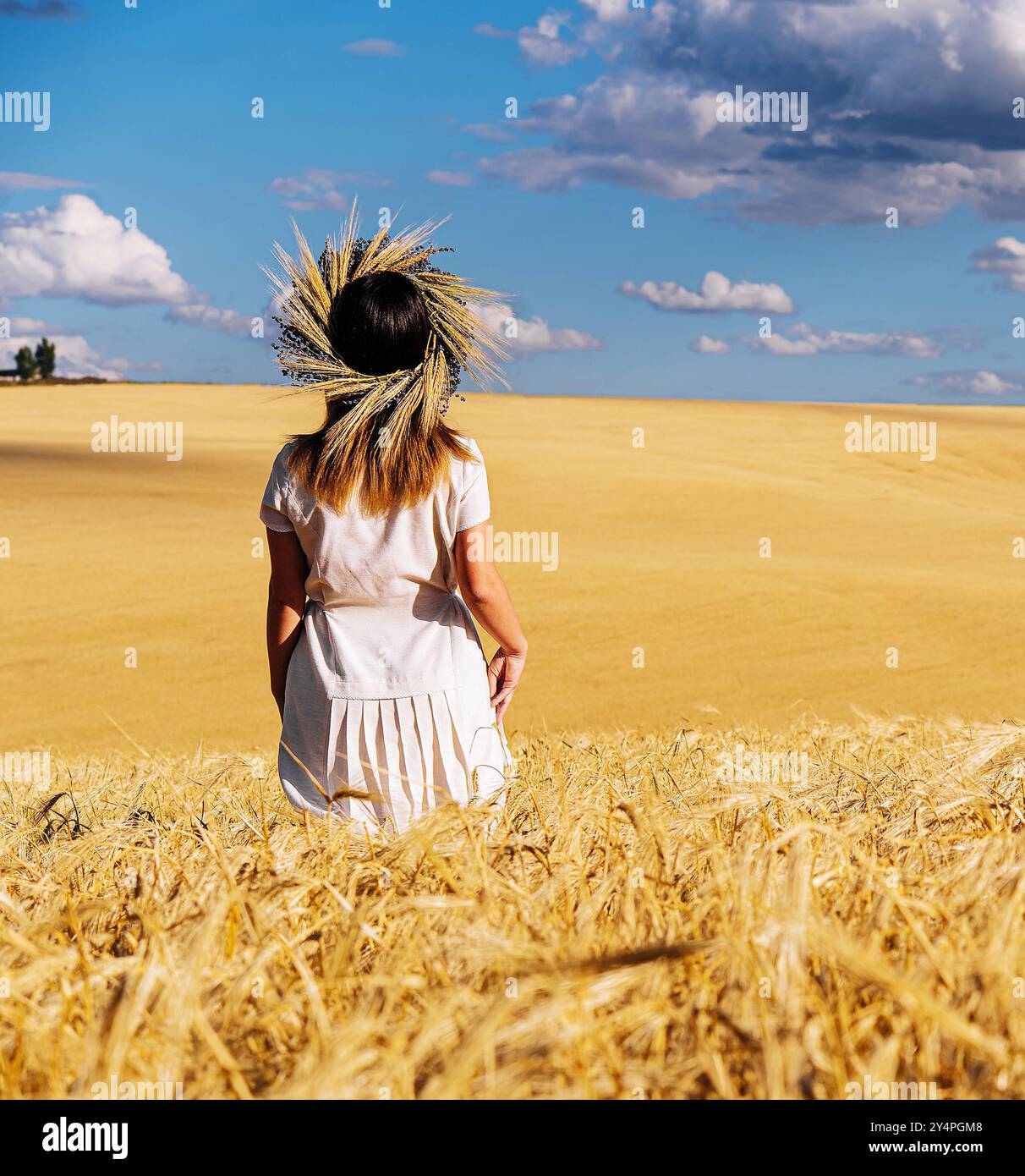 donna in corona di fiori con grano e abito bianco che cammina lungo il campo di cereali Foto Stock