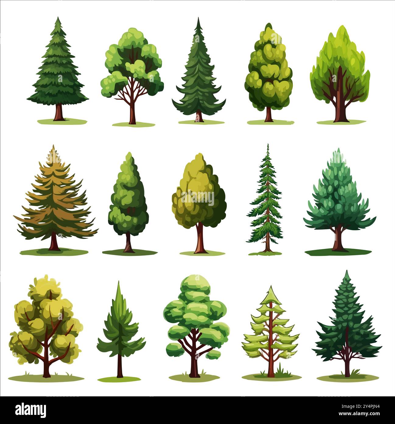 Insieme di vettori di alberi sempreverdi della foresta. Illustrazioni del bosco di conifere Illustrazione Vettoriale