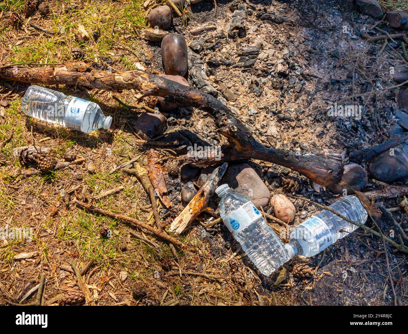 Bottiglie d'acqua di plastica gettate e i resti di un fuoco aperto in campagna asciutta. Foto Stock