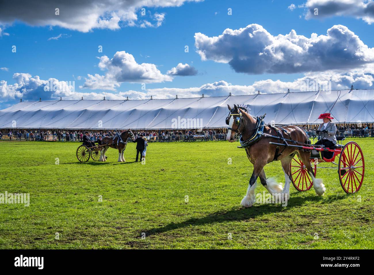 Westmorland County Show Cumbria celebra il meglio della vita rurale, bestiame, cani, pecore, macchinari e prodotti locali. Westmorlland County Agricultural Foto Stock