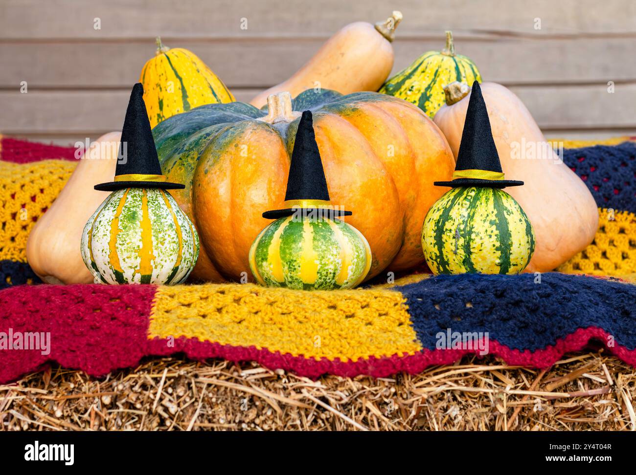 Buurd autunnale, alcuni indossano cappelli da streghe adagiati su balle di fieno Foto Stock