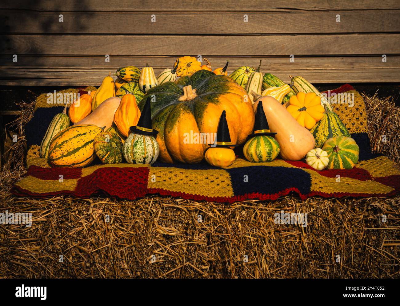 Buurd autunnale, alcuni indossano cappelli da streghe adagiati su balle di fieno Foto Stock