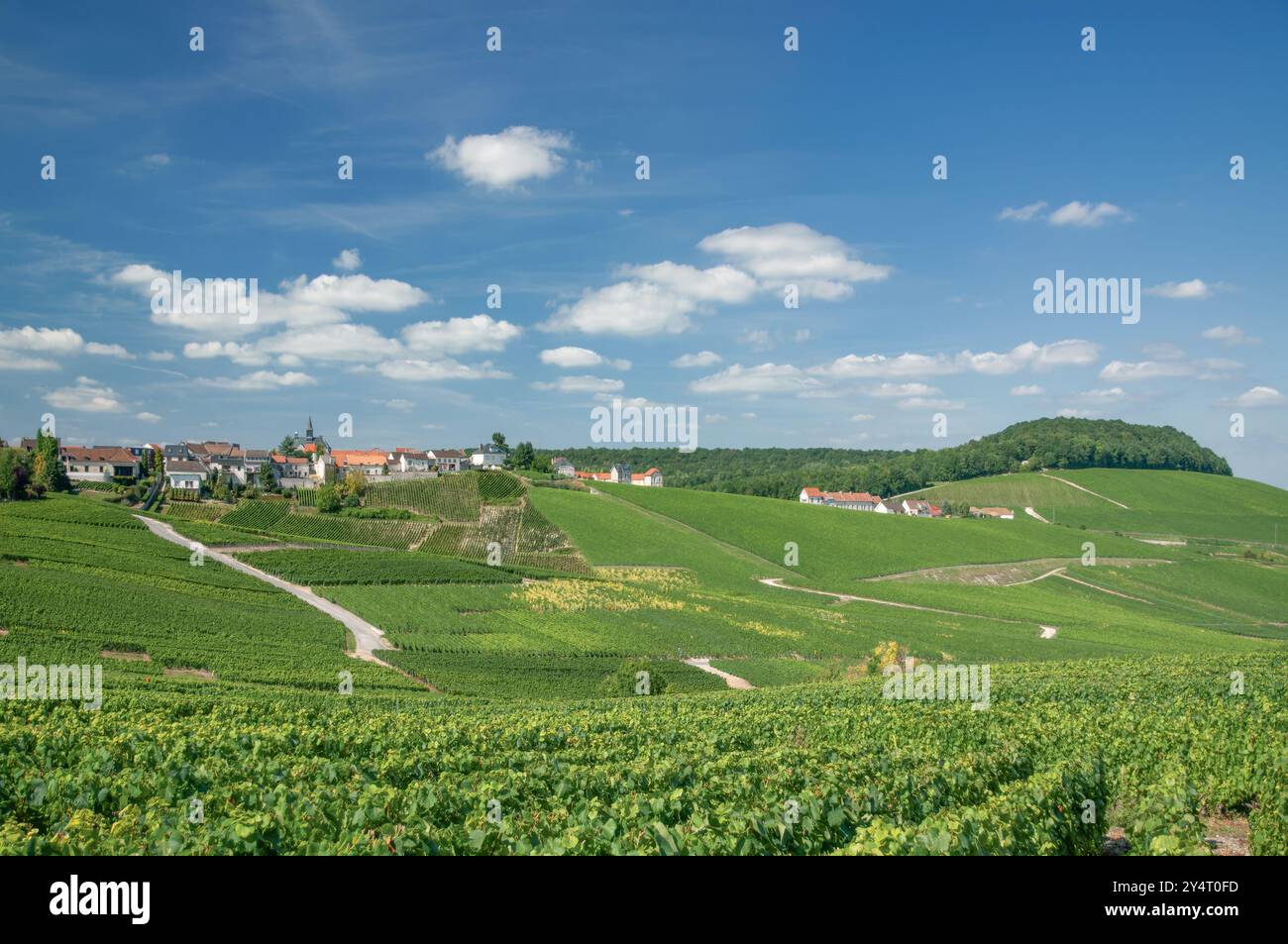 Idilliaco Villaggio dei vini di Cramant, regione Champagne, Grand Est, Francia Foto Stock