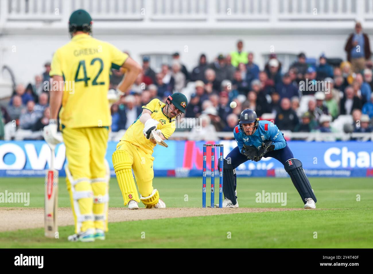 #62, Travis Head of Australia colpisce in alto durante il primo incontro della Metro Bank One Day Series tra Inghilterra e Australia a Trent Bridge, Nottingham, giovedì 19 settembre 2024. (Foto: Stuart Leggett | mi News) crediti: MI News & Sport /Alamy Live News Foto Stock