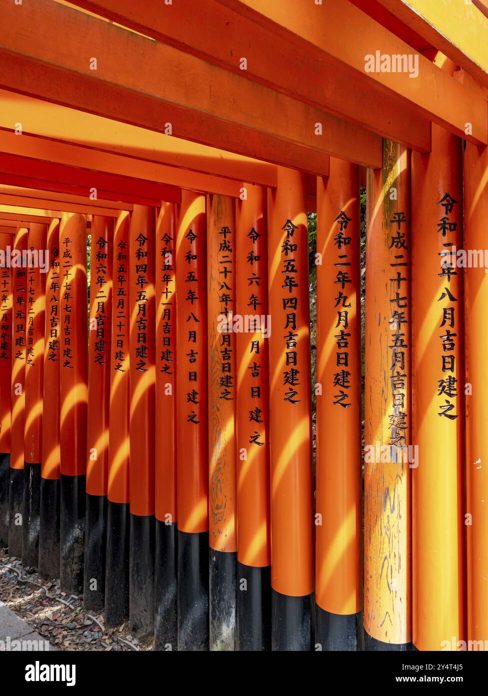 Porte torii, santuario di Fushimi Inari-Taisha, Kyoto, Giappone, Asia Foto Stock