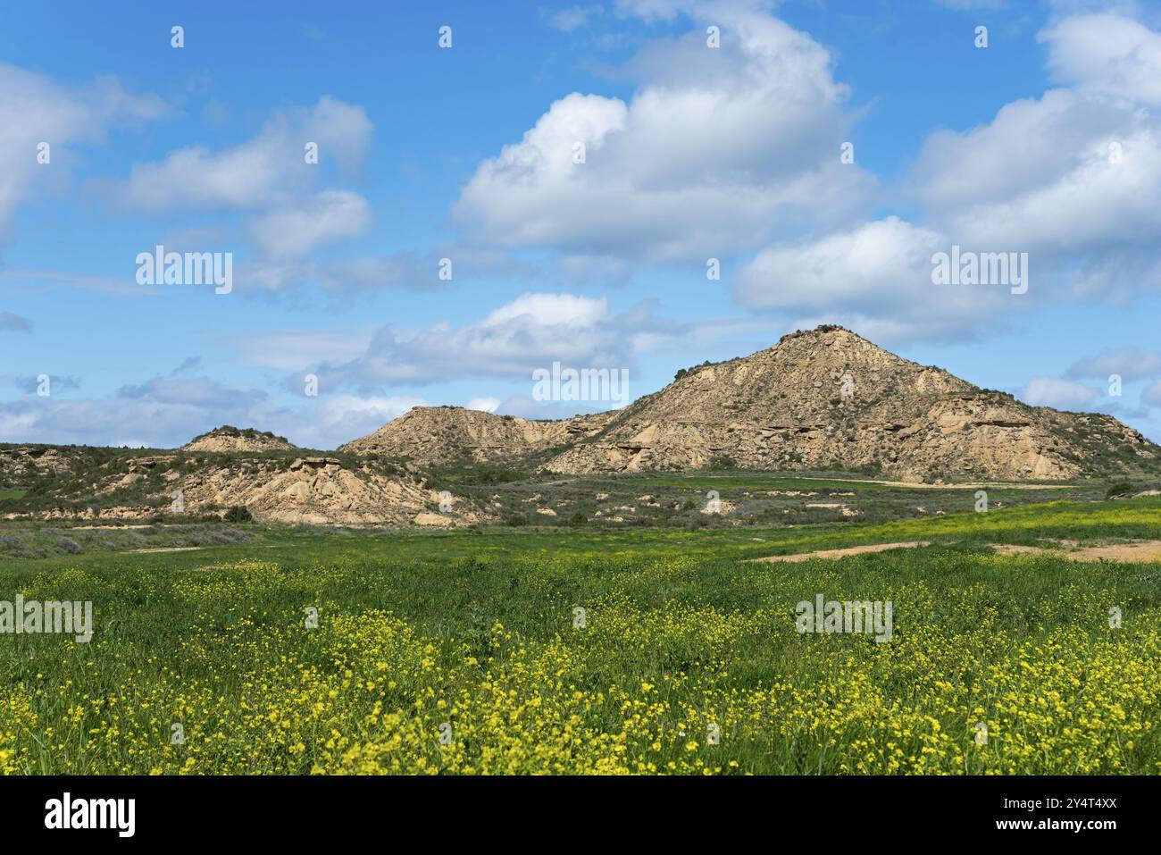 Paesaggio primaverile con prati fioriti e altezze rocciose sotto un cielo blu leggermente nuvoloso, parco naturale Bardenas Reales, deserto, semi-deserto, Nava Foto Stock