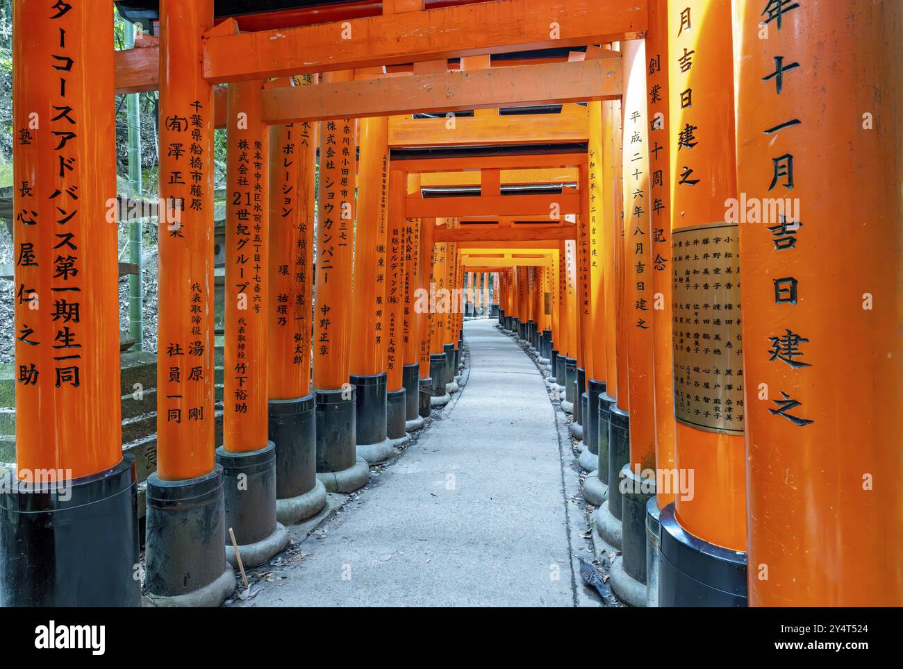 Sentiero torii, santuario di Fushimi Inari-Taisha, Kyoto, Giappone, Asia Foto Stock