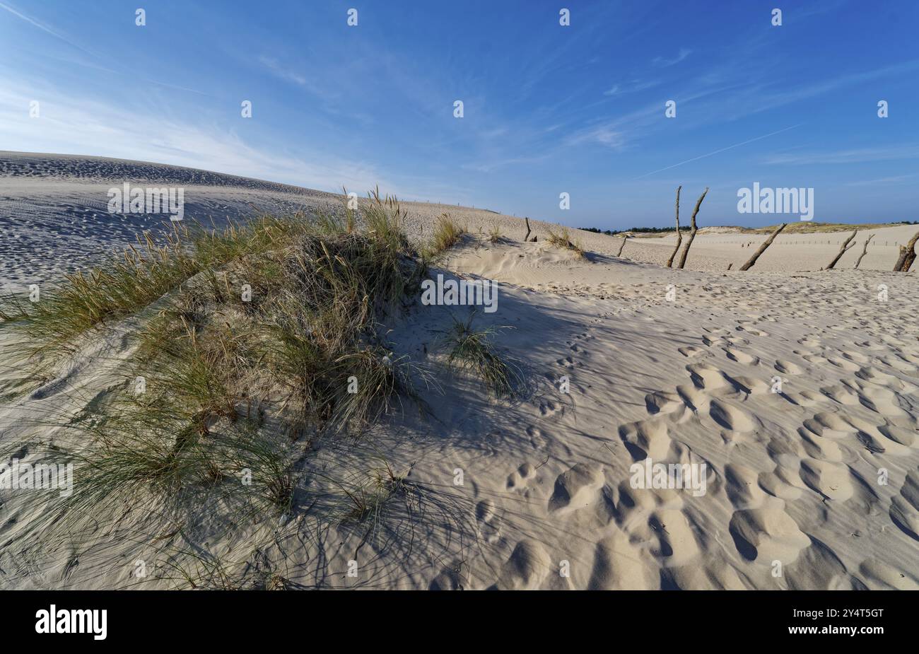 Il paesaggio delle dune intorno alla duna di Lontz, Wydma Lacka, la più grande duna viaggiante sulla costa baltica polacca. Si trova nel Slowinski National Park Foto Stock