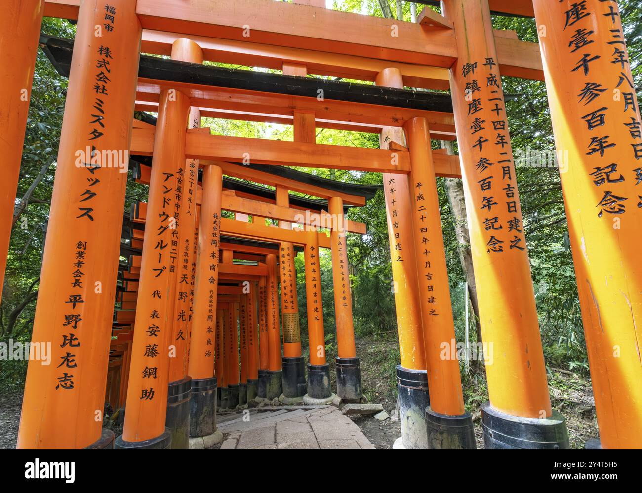Sentiero torii, santuario di Fushimi Inari-Taisha, Kyoto, Giappone, Asia Foto Stock