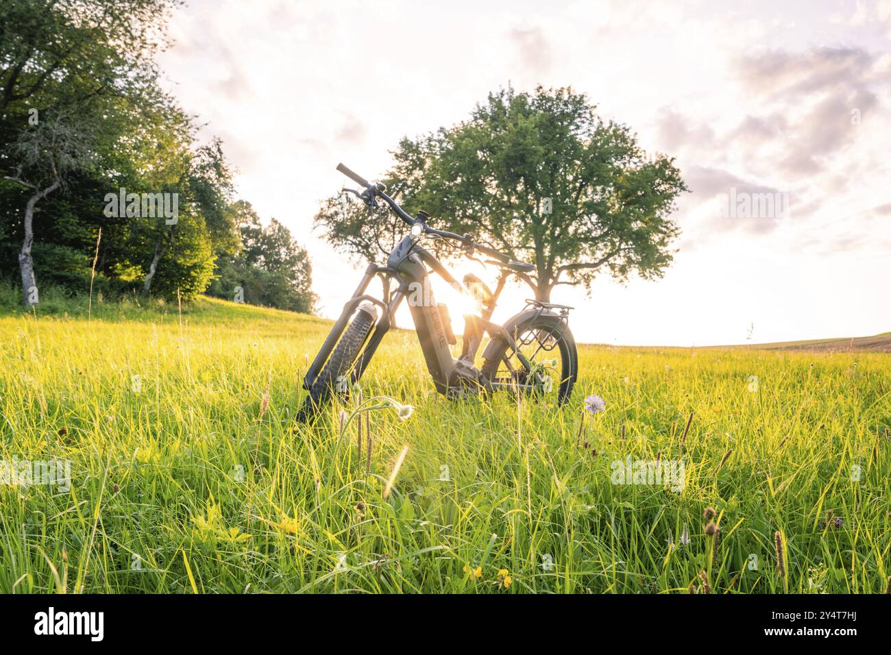 Bicicletta elettrica in un ampio prato, il sole splende attraverso l'albero e illumina il paesaggio tranquillo, bicicletta nella foresta, bicicletta elettrica, vitello, Foresta Nera, Germania, Europa Foto Stock