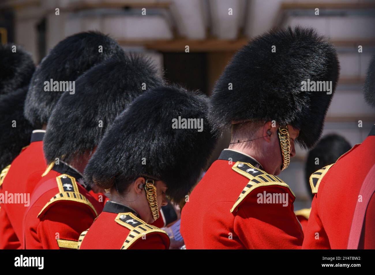 Cerimonia di cambio della guardia sul piazzale di Buckingham Palace, Londra, Regno Unito, Europa Foto Stock