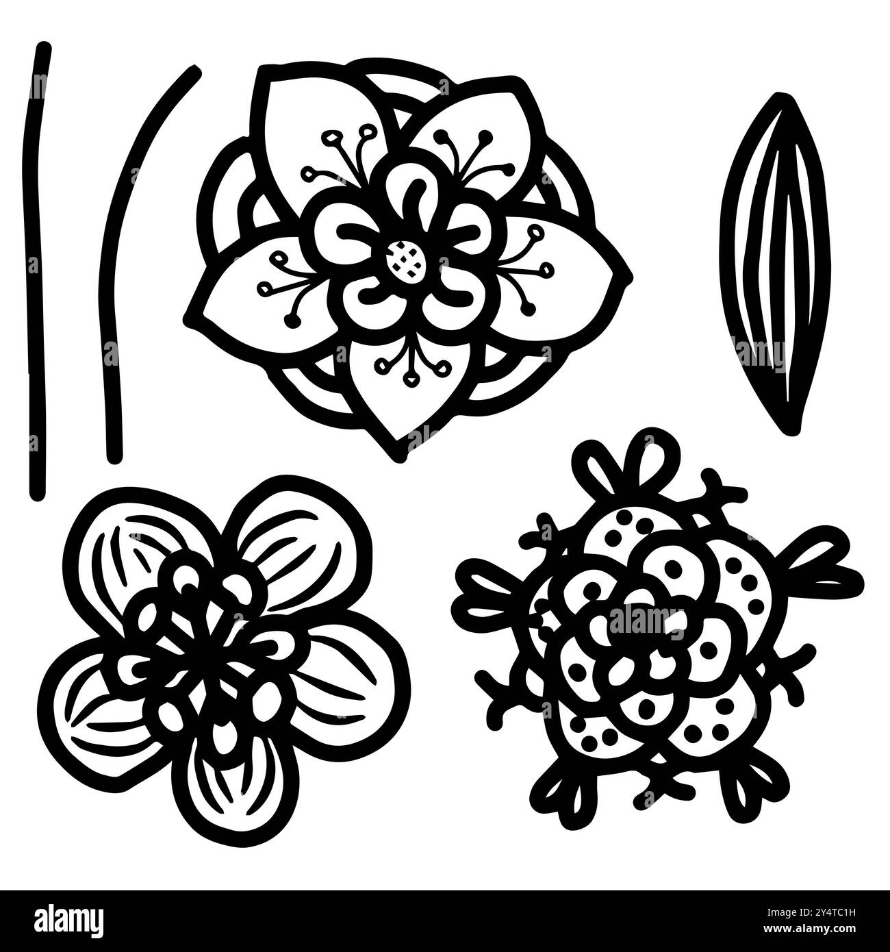 Set di fiori fantasia in stile doodle. Illustrazione vettoriale isolata su sfondo bianco. Illustrazione Vettoriale
