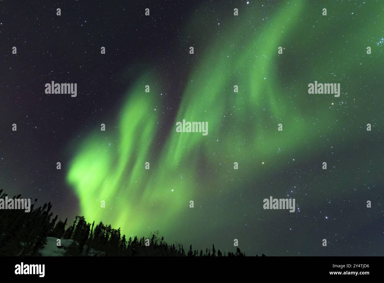 Aurora Boreale, aurora boreale, a Yellowknife, territori del Nord-Ovest, Canada, nord America Foto Stock