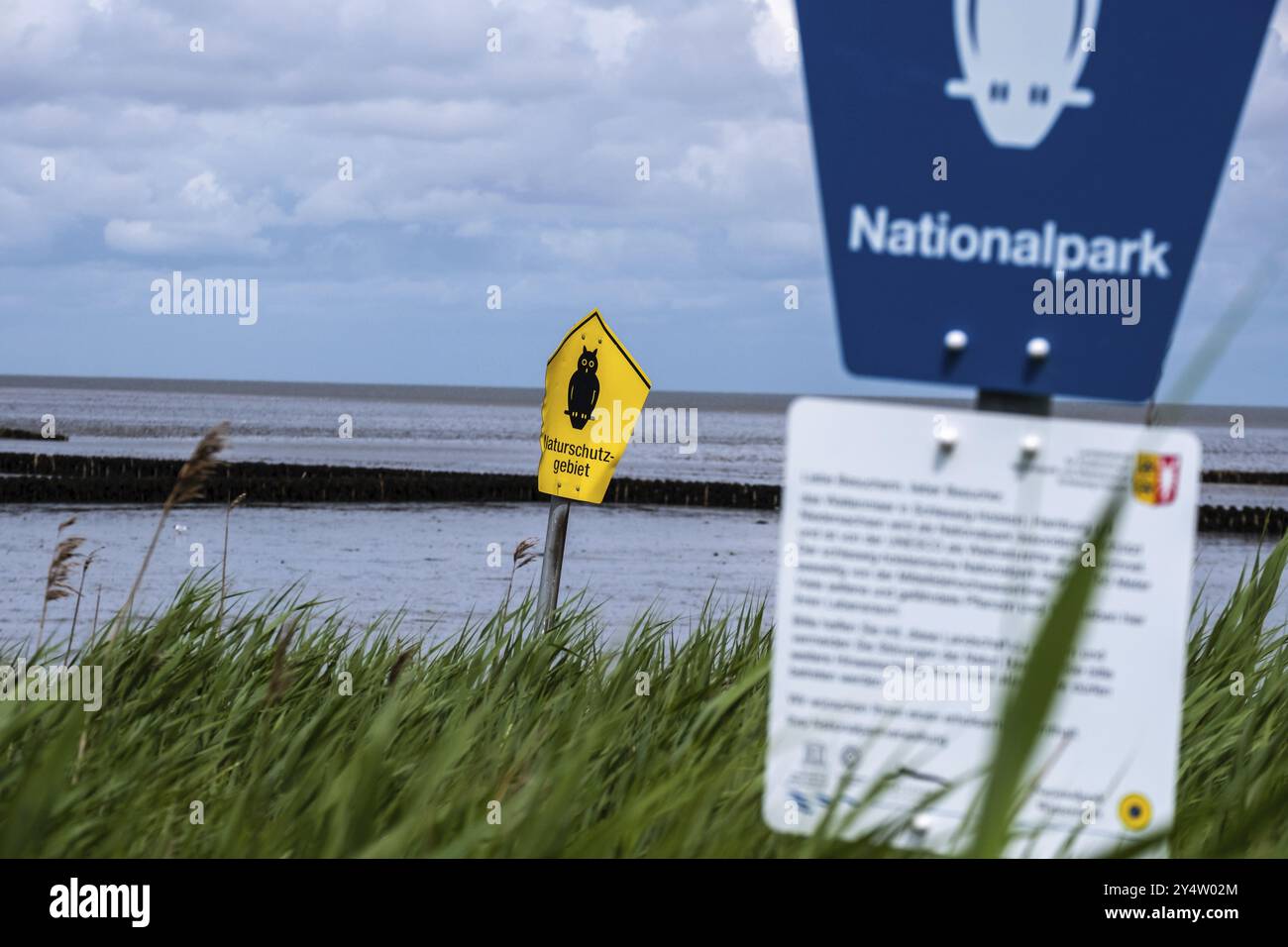 Riserva naturale sul Mare del Nord. Wadden Sea Side su Sylt Foto Stock