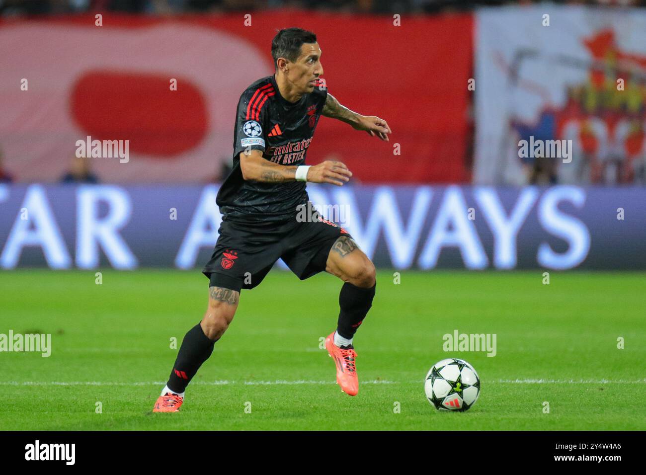 Belgrado, Serbia. 19 settembre 2024. Angel di Maria durante la fase MD1 della UEFA Champions League 2024/25 tra FK Crvena Zvezda e SL Benfica al Rajko Mitic Stadium il 19 settembre 2024. Crediti: Dimitrije Vasiljevic/Alamy Live News Foto Stock
