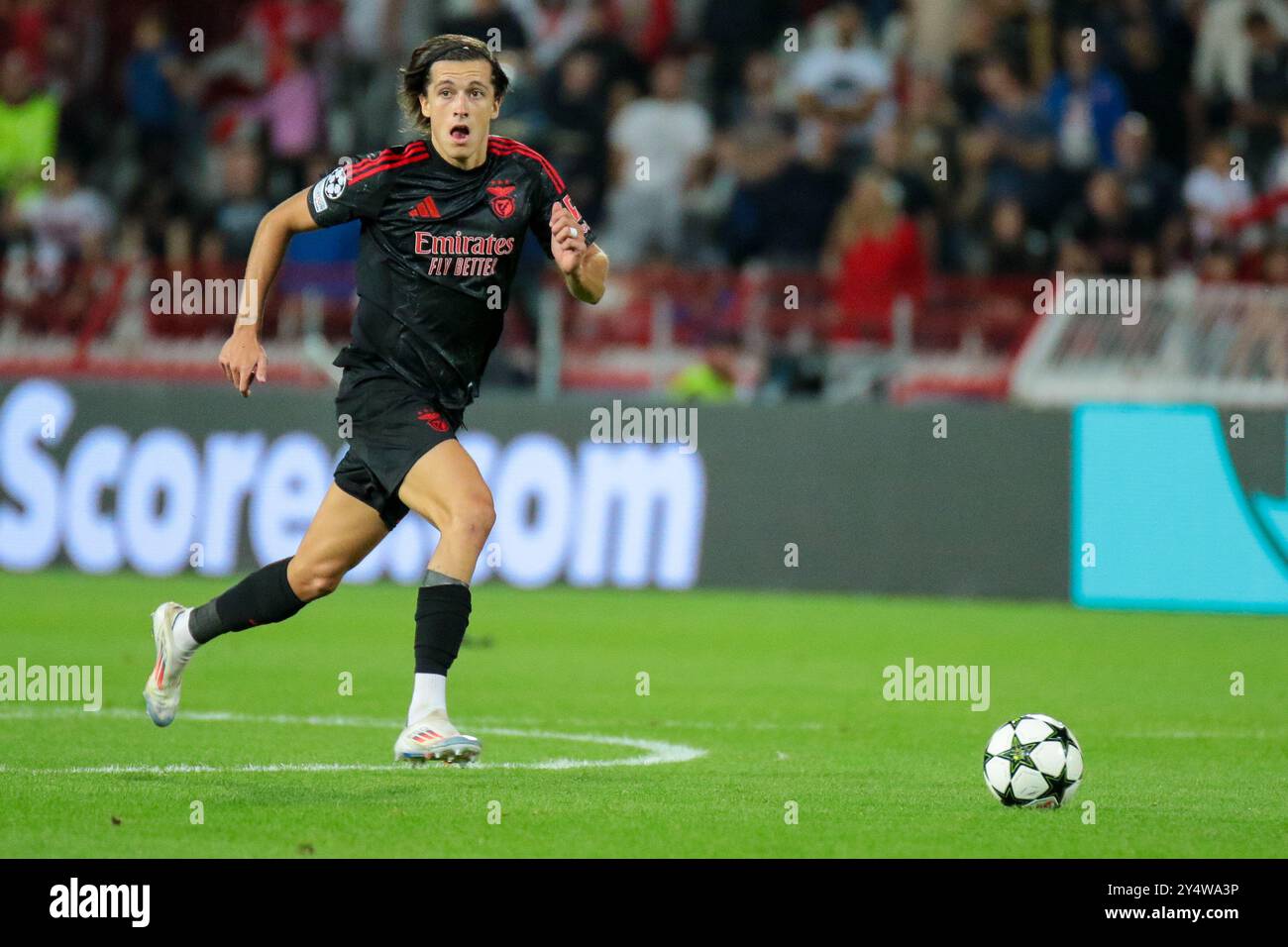 Belgrado, Serbia. 19 settembre 2024. Alvaro Carreras del Benfica durante la fase MD1 della UEFA Champions League 2024/25 tra FK Crvena Zvezda e SL Benfica al Rajko Mitic Stadium il 19 settembre 2024. Crediti: Dimitrije Vasiljevic/Alamy Live News Foto Stock