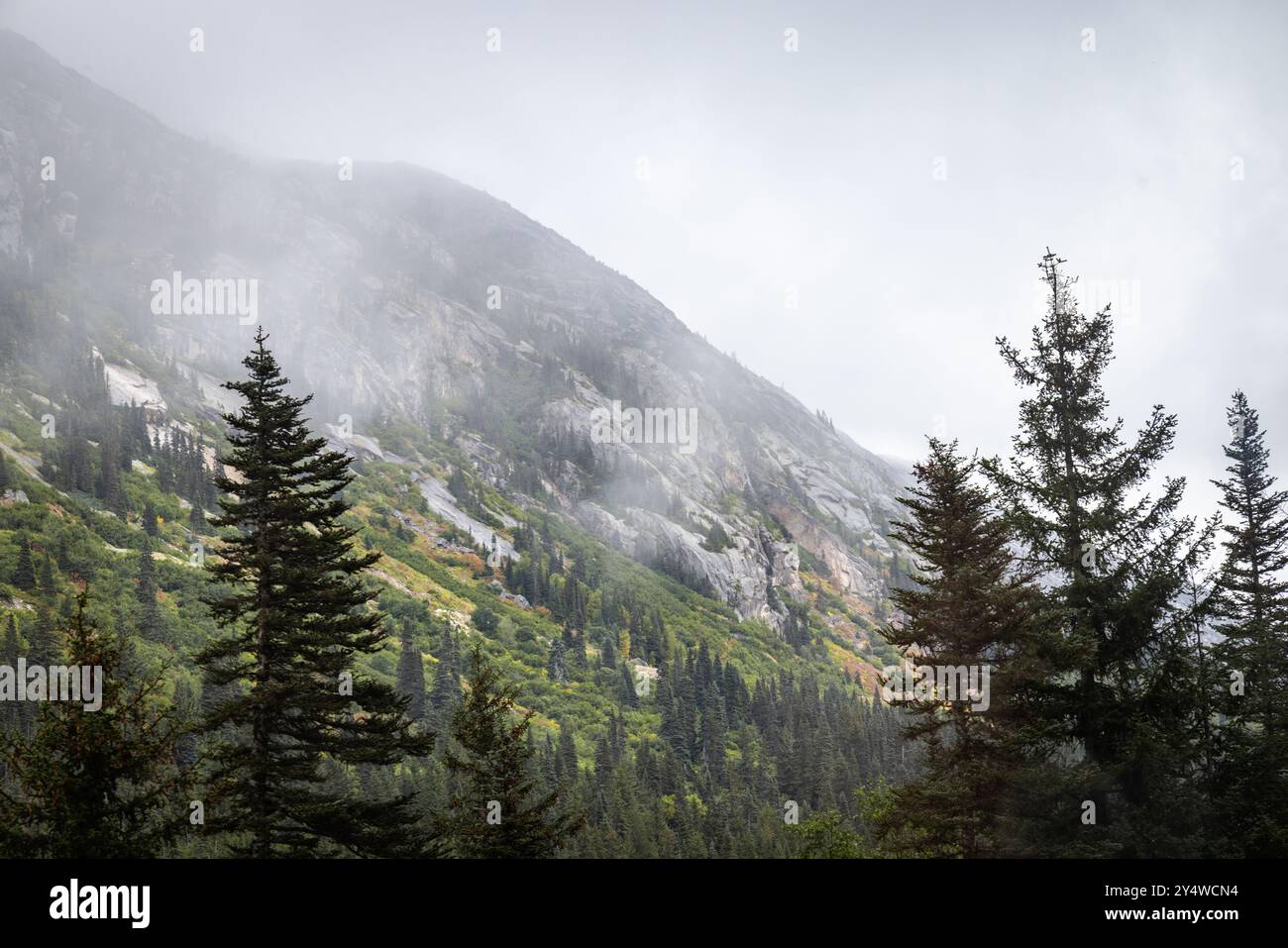 Sulle nuvole della storica ferrovia vicino a White Pass Summit, Alaska. Foto Stock