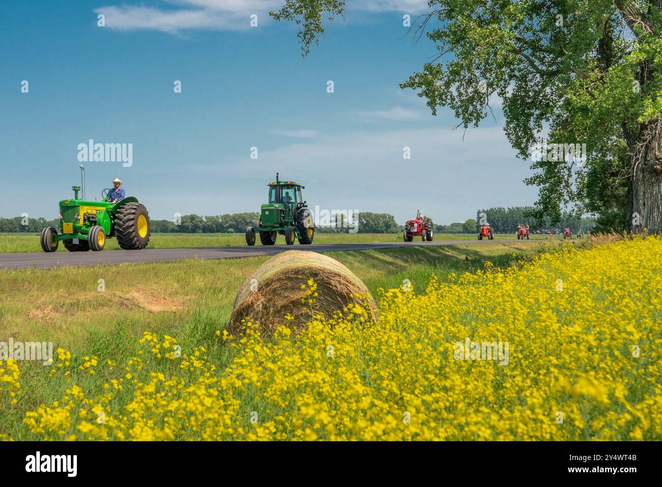 Trattori agricoli d'epoca con campi di canola in fiore all'annuale Eden Foundation Tractor Trek vicino a Winkler, Manitoba, Canada. Foto Stock