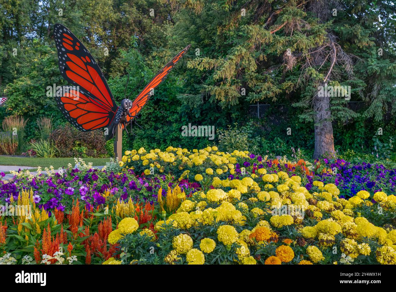 Una scultura di farfalle Monarch presso i Butterfly Gardens di Winkler, Manitoba, Canada. Foto Stock