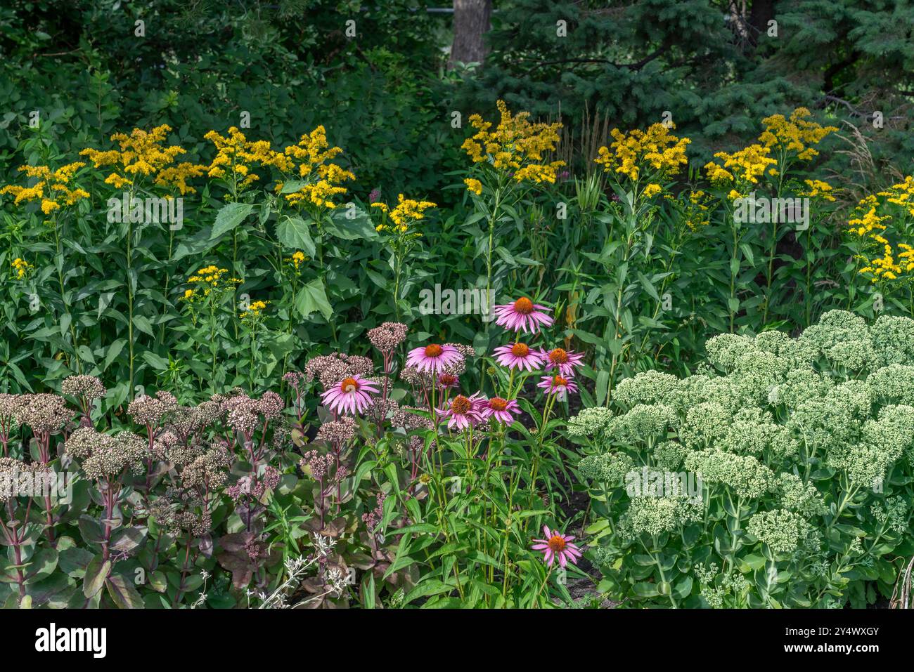 I giardini fioriti di Kildonan Park, Winnipeg, Manitoba, Canada. Foto Stock