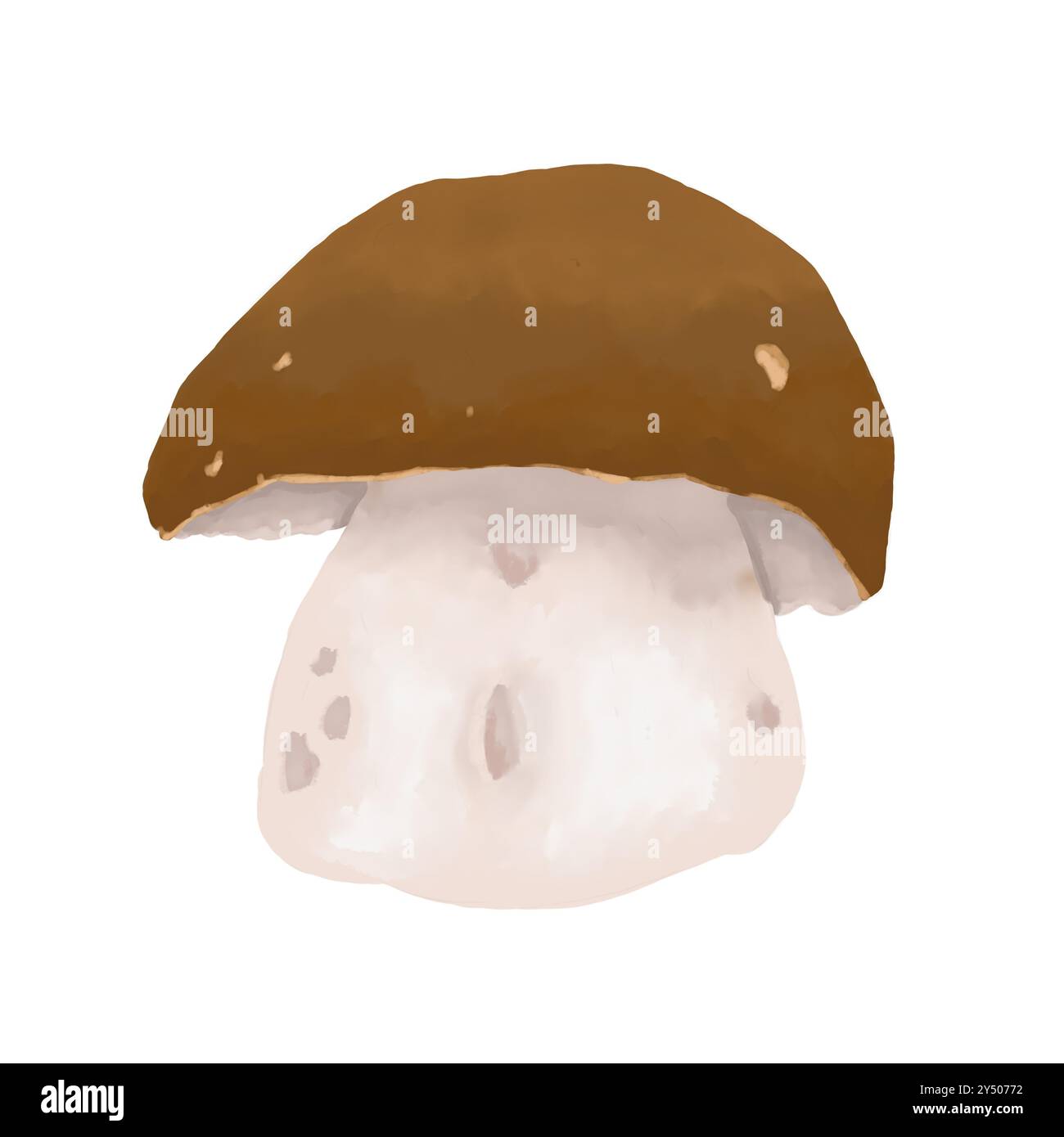 Funghi porcini. Illustrazione a colori digitale acquerello Foto Stock