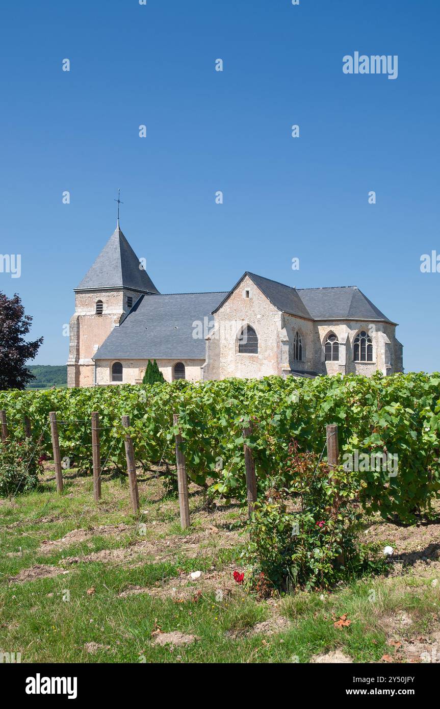 Chiesa di Saint-Martin de Chavot nella regione Champagne vicino a Epernay, Grand Est, Francia Foto Stock