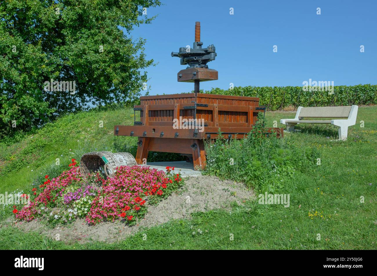 Paesaggio idilliaco dei vigneti nella regione dello Champagne vicino a Epernay, Grand Est, Francia Foto Stock