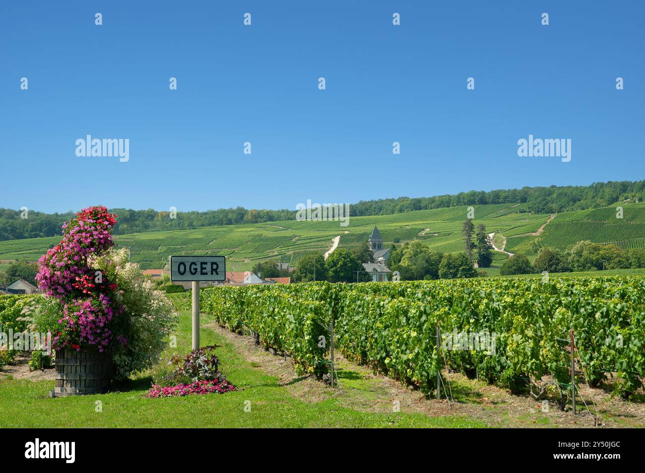 Il famoso Villaggio dei vini di Oger nella regione dello Champagne, Grand Est, Francia Foto Stock