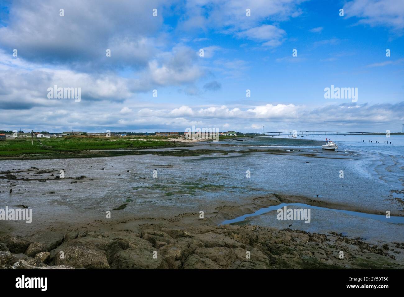 Baia di la Tremblade e ponte sull'estuario del fiume Seudre, Charente Maritime, Francia Foto Stock