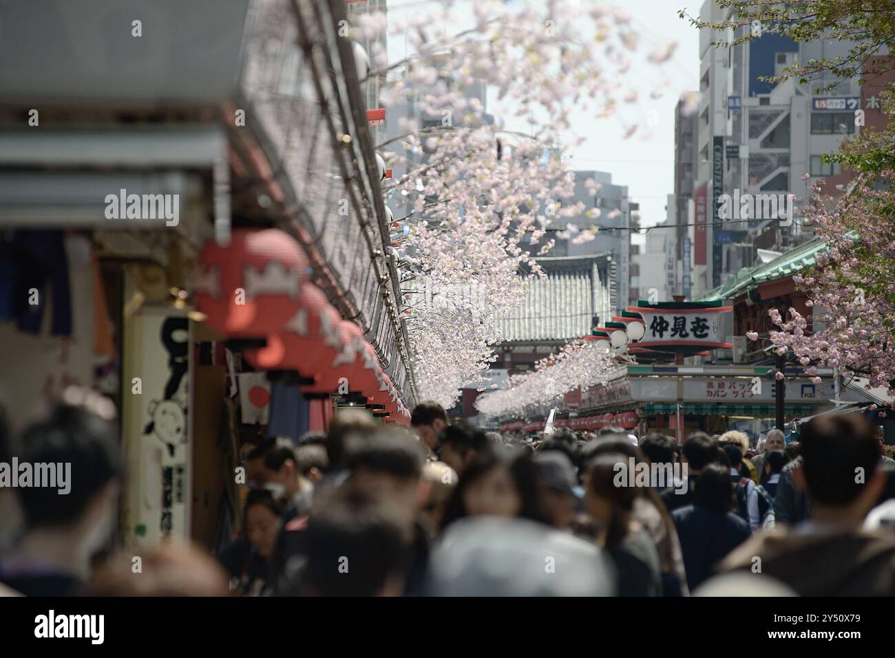 04/14/2014 - Asakusa, Tokyo: Quartiere affollato di Asakusa con fiori di ciliegio Foto Stock