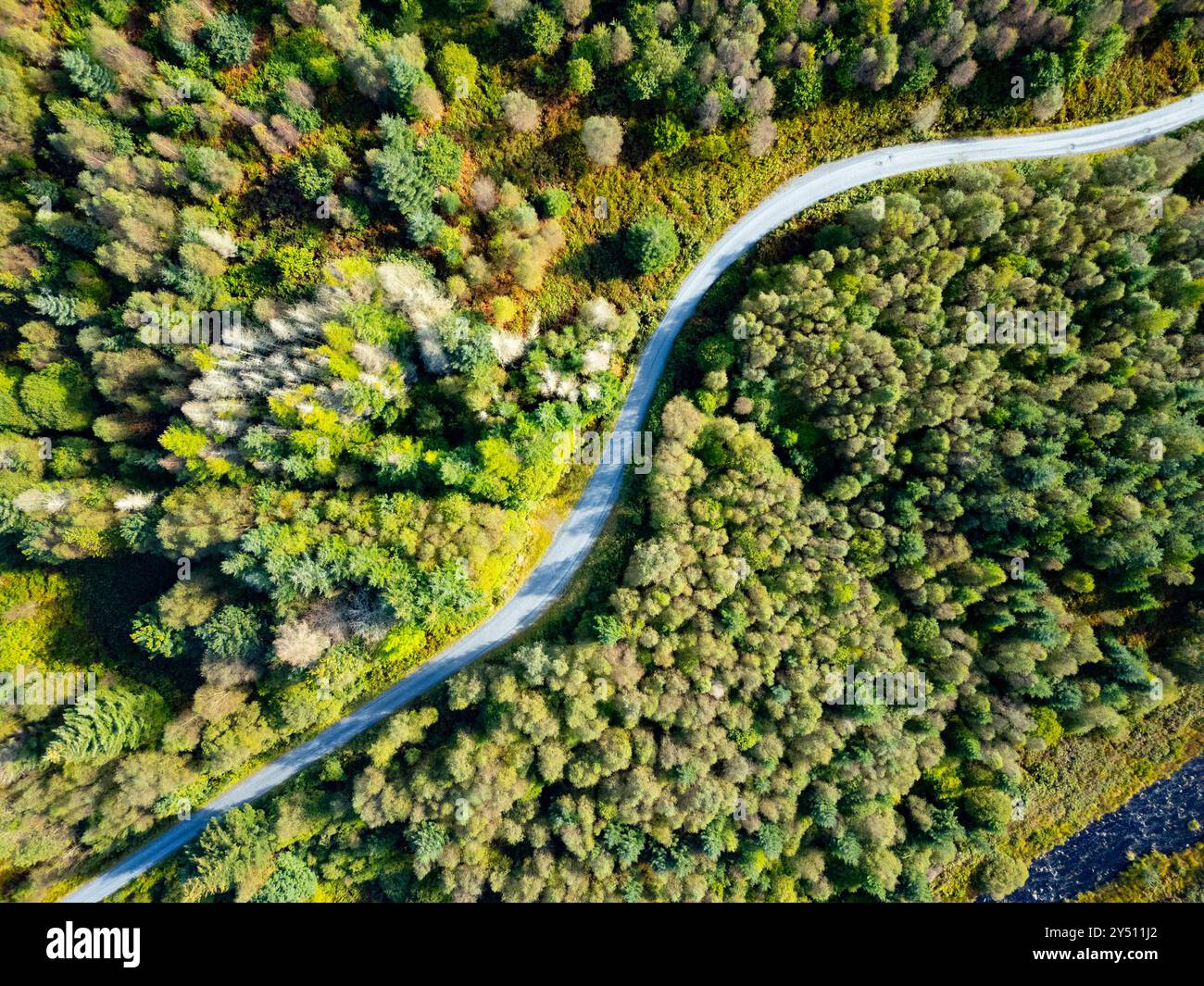 Vista aerea dal drone della pista forestale di Raiders Road nel Galloway Forest Park e all'interno del nuovo Galloway National Park, Dumfries e Gallowa Foto Stock