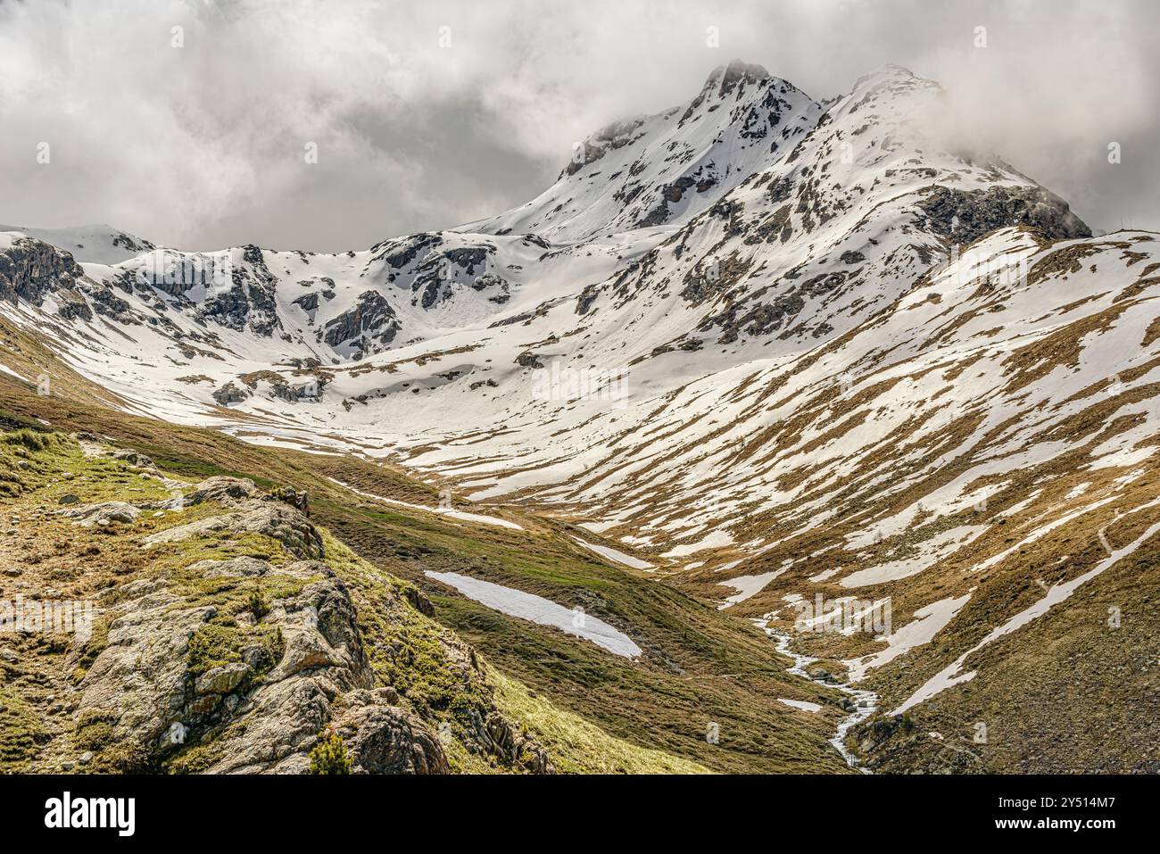 Vista al Piz Languard in estate, Pontresina, Engadina, Svizzera Foto Stock