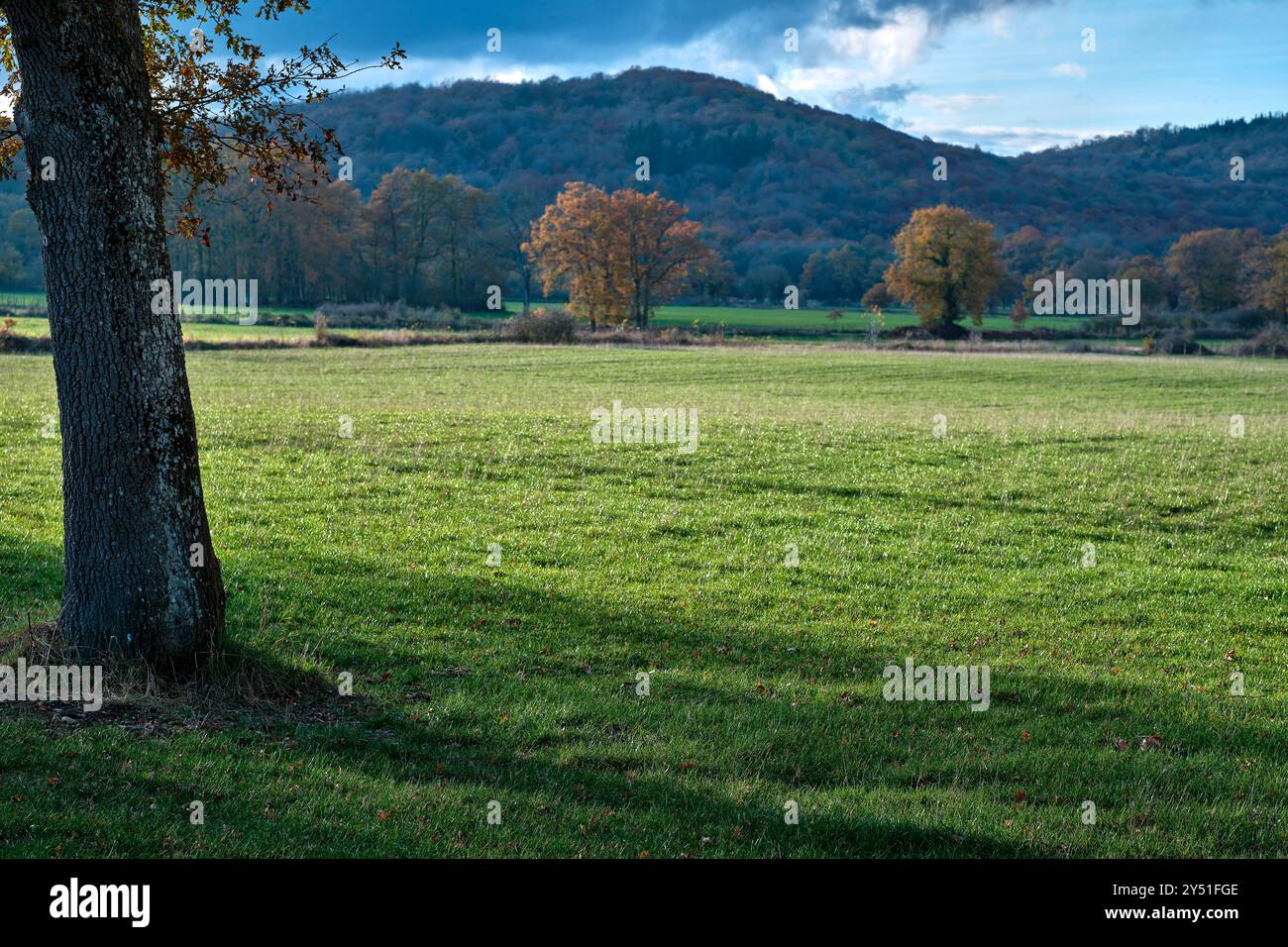 Un tranquillo paesaggio rurale con prati verdi e alberi autunnali sparsi, sullo sfondo di colline ondulate e un cielo nuvoloso. Vitoriano, AR Foto Stock