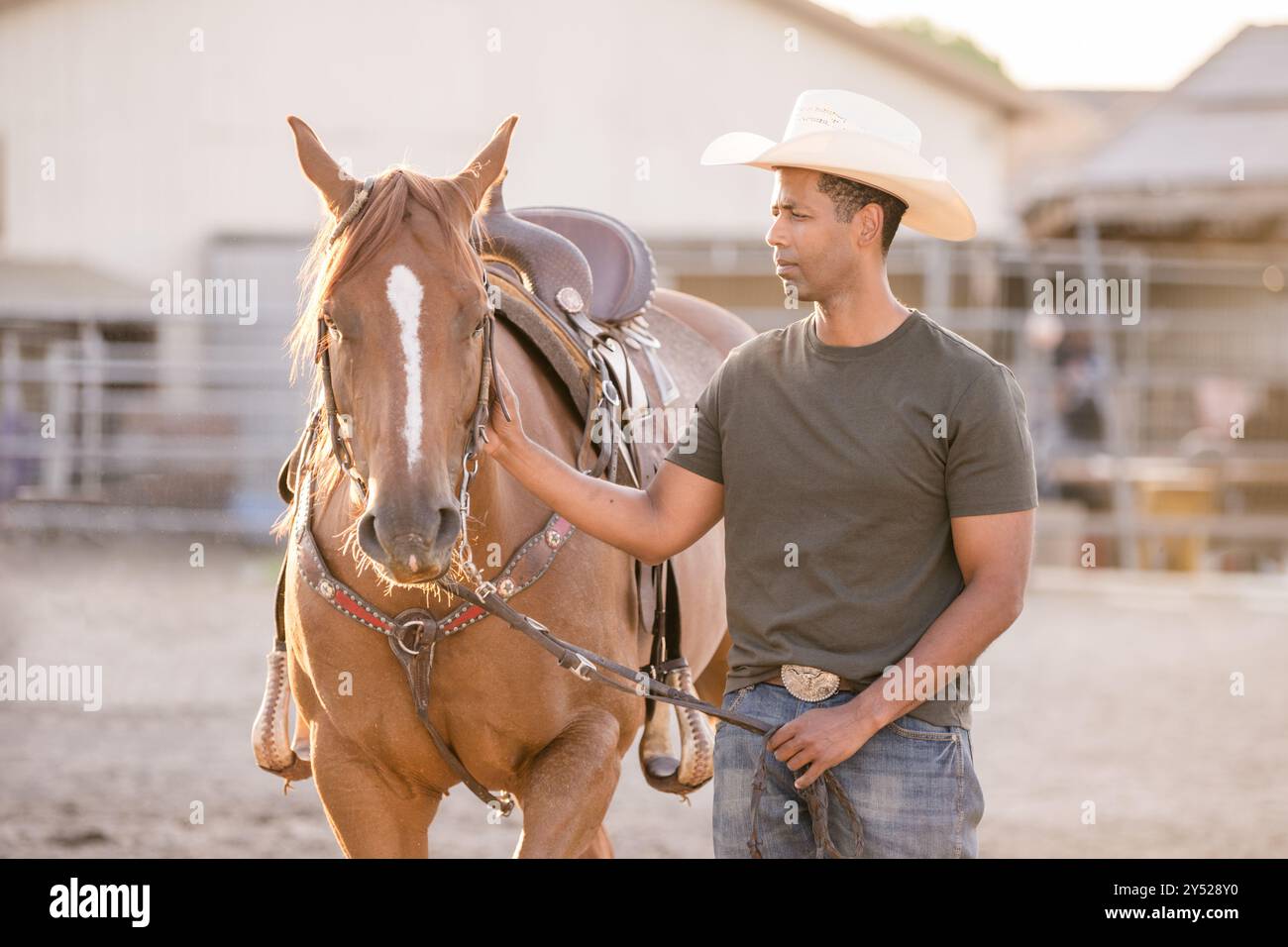 Uomo a tenere le redini di un cavallo Foto Stock