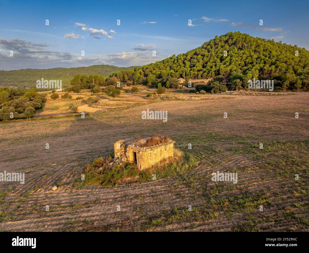 Vista aerea della pianura di Pla de Sant Pere, tra Navàs e Viver i Serrateix, in una mattina d'estate (Bages - Berguedà Barcellona, ​​Catalonia Spagna) Foto Stock