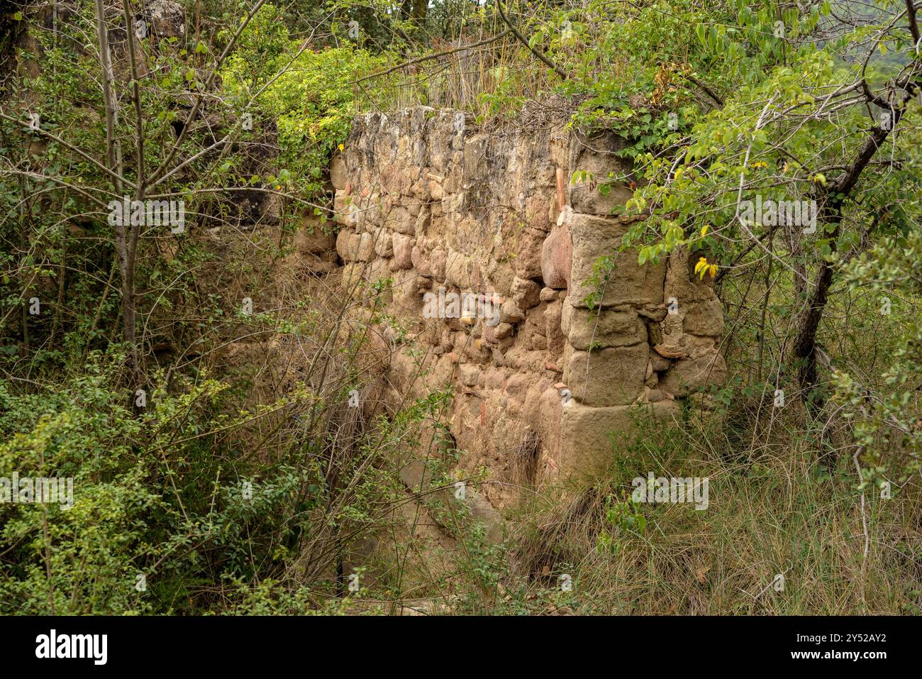 Una vasca vicino alla casa colonica sala, sulla pianura di Pla de Sant Pere, a Navàs (Bages, Barcellona, ​​Catalonia, Spagna) ESP: Una tina cerca de la sala, Navàs Foto Stock