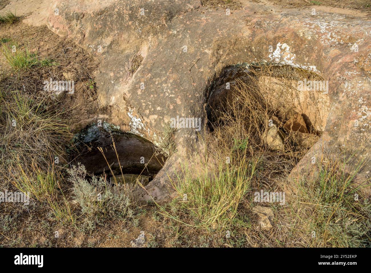 Silo di grano iberico scavato nella roccia nella pianura di Sant Pere, vicino a Navàs (Bages, Barcellona, ​​Catalonia, Spagna) ESP: Silo ibérico de grano en roca Foto Stock