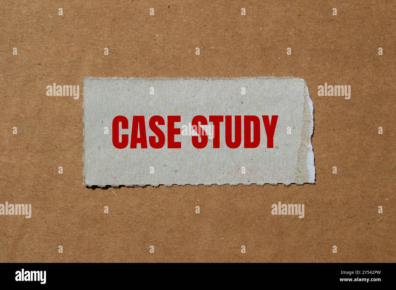 Messaggio del modello aziendale scritto su un pezzo di carta strappato con sfondo in cartone. Simbolo del modello di business concettuale. Copia spazio. Foto Stock