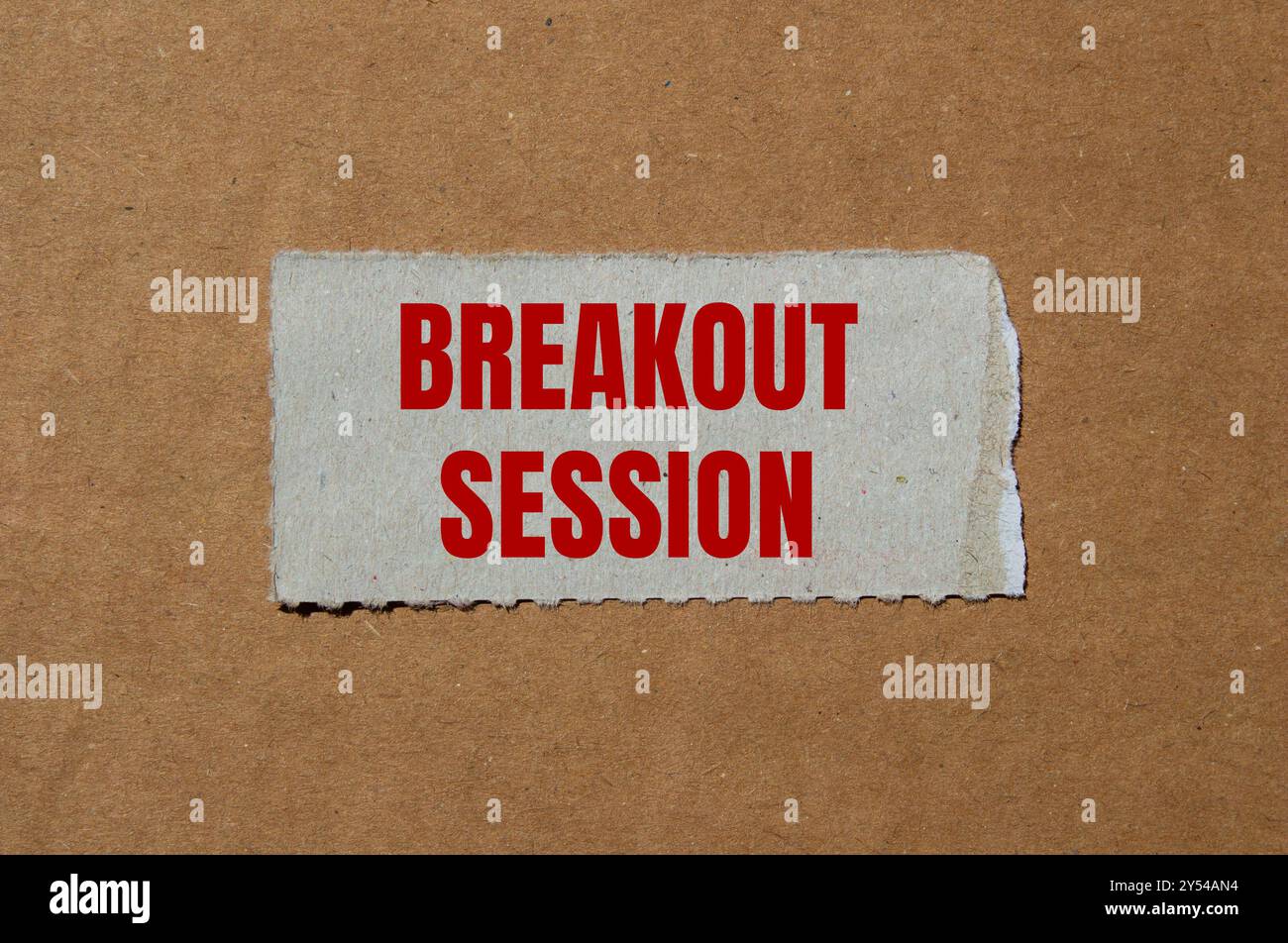 Messaggio della sessione di breakout scritto su un pezzo di carta strappato con sfondo in cartone. Simbolo della sessione di breakout concettuale. Copia spazio. Foto Stock