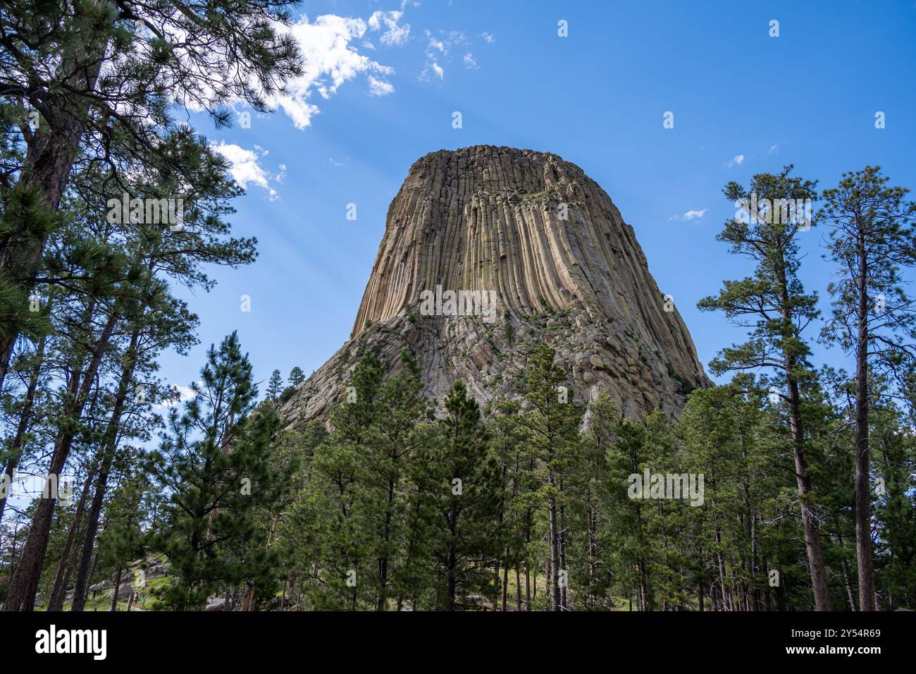 I raggi del pomeriggio brillano sul Devils Tower National Monument (alias Bear Lodge), vicino a Hulett, Wyoming. Foto Stock