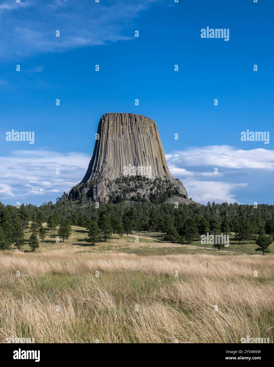 Devils Tower National Monument (alias Bear Lodge), vicino a Hulett, Wyoming. Foto Stock