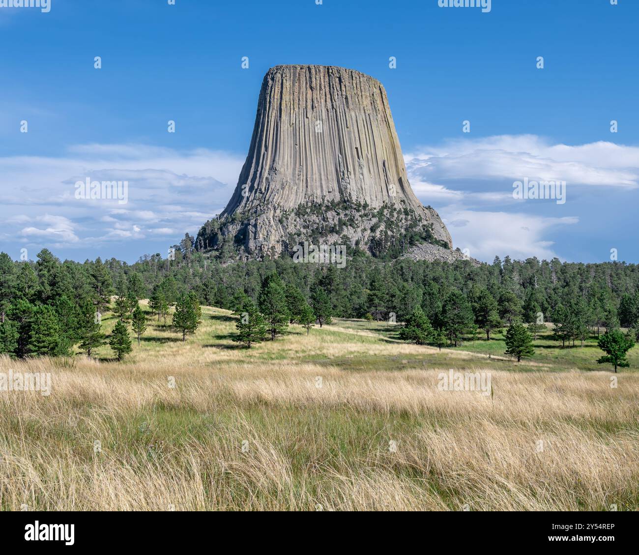 Devils Tower National Monument (alias Bear Lodge), vicino a Hulett, Wyoming. Foto Stock