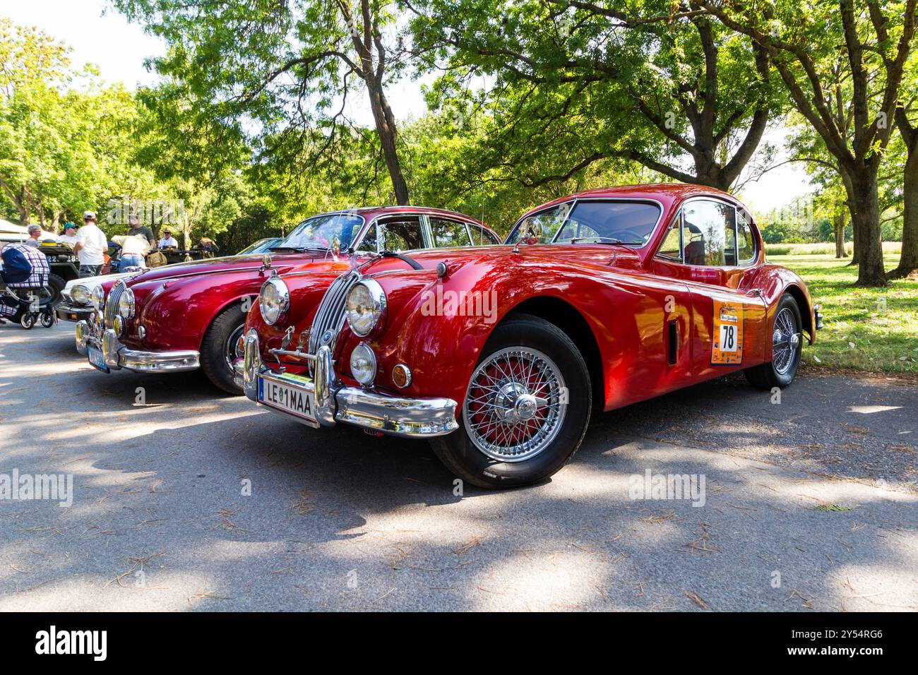 Jaguar XK140 ai Vienna Classic Days 2024, sfilata di auto d'epoca, Donaupark, Vienna, Austria Foto Stock